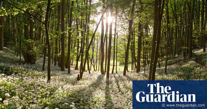 Support UK farmers to meet climate targets, ministers told