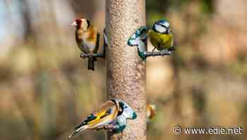 Boris Johnson commits government to protecting 30% of UK's land