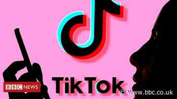 TikTok: US judge halts app store ban