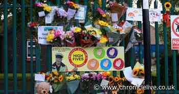 Teddy bears and paintings left in tribute to girl, 6, killed by falling tree