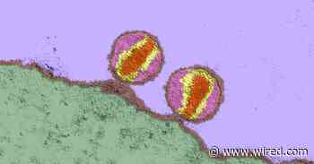 Could the National HIV Strategy Help Guide the Covid Fight?