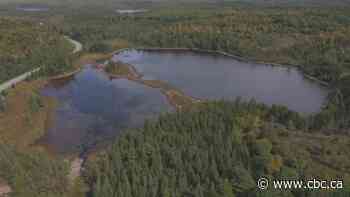 Why Nova Scotia wants to poison a lake to kill off invasive species