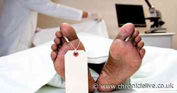 'Hands-on' dissection practice for students at new centre