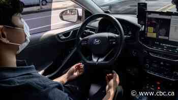 They promised us driverless cars. What happened?: Don Pittis