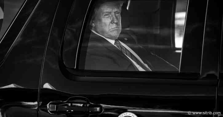Trump’s taxes show chronic losses and years of income tax avoidance