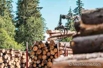Ontario Launches Recovery Program for Northern Businesses Impacted by COVID-19
