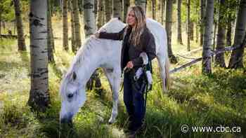 Deadly horse fever outbreak declared in Alberta