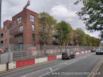 Harrow Green Party urges Harrow Council to save Kodak trees