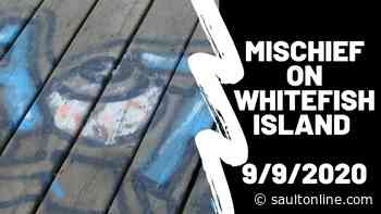 Mischief on Whitefish Island