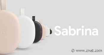 Google Chromecast hits Home Depot shelves ahead of official launch, report says     - CNET