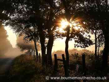 Echo Camera Club Dorset: how to enter new photo competition - Bournemouth Echo