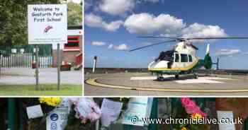 Mum raises thousands for charity that tried to save daughter killed by tree