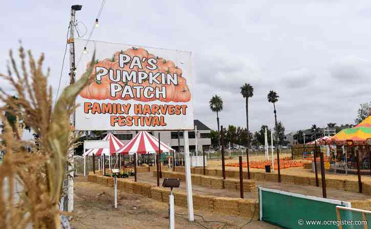Coronavirus: Pa’s Pumpkin Patch in Long Beach won’t open for the first time in 45 years