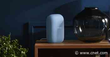 Google's new Nest smart speaker is all but confirmed     - CNET
