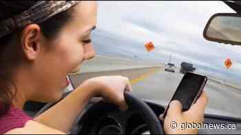SGI turning attention to distracted driving in October