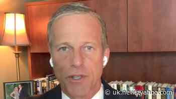 Sen. Thune: Judge Barrett is the exact kind of justice you want to see on Supreme Court