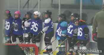 Hiring help: the evolution of youth sport evaluations