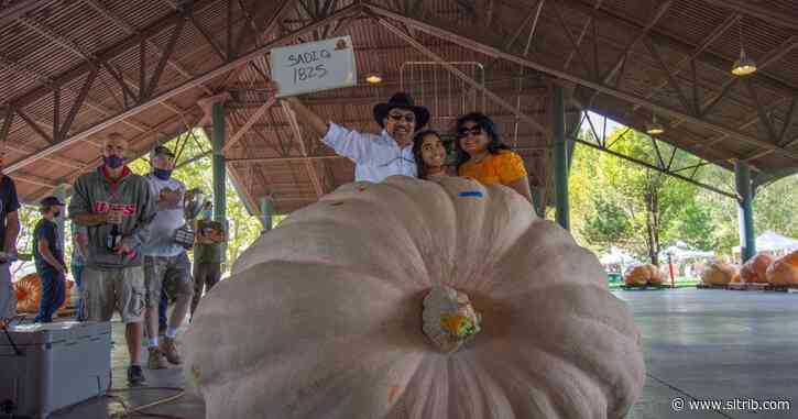 Giant gourds break Utah state record at weigh-off in Lehi