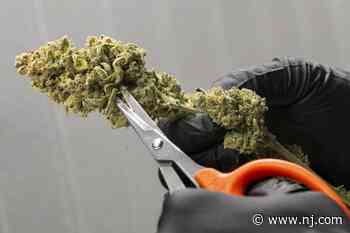 Learn what the biggest challenges physicians, nurses face with N.J.’s medical marijuana program at this Tuesd - NJ.com