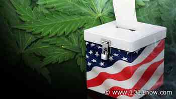 Advocates to file new medical marijuana amendment language for 2022 - KOLN