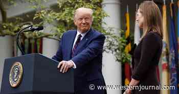 Video: Trump Nominates Amy Coney Barrett to US Supreme Court