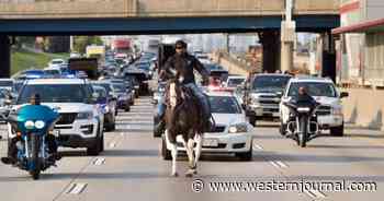Video: Watch – Man Rides Horse Down Highway in Chicago, Later Arrested
