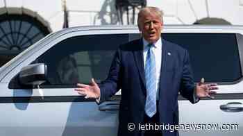 Trump went even further than other uber-rich to shrink taxes - Lethbridge News Now