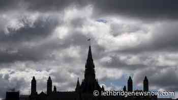 COVID-19 pandemic highlights need to document decisions: Information commissioner - Lethbridge News Now