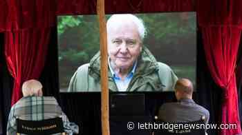 Malta seeks shark tooth fossil presented to Prince George - Lethbridge News Now