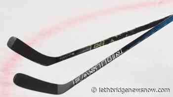 Hockey Nova Scotia launches survey to address racism, discrimination in sport - Lethbridge News Now