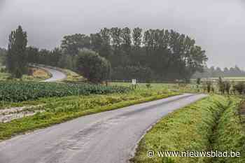 Weinig gemeenten lopen warm voor bomencharter: “Geen grond voor meer bos”