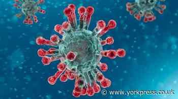 Dr Zak: Let's take a common-sense approach to Covid