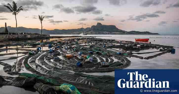 Robots and magnetic soap: scientists rethink oil spill clean-ups