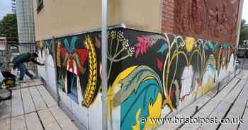 Murals painted to encourage people to take less polluted route