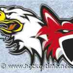 Bolzano/Trento: sei promozioni in prima squadra – Hockeytime - hockeytime.net