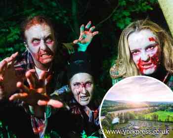 'Frightfully fun' drive-in Halloween cinema coming to York