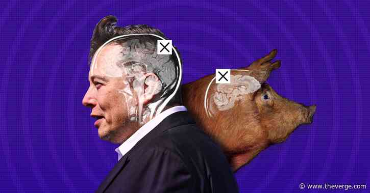 Elon Musk’s Neuralink: what’s science and what’s not