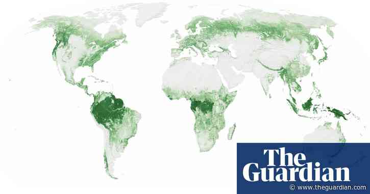 Planetary ‘safety net’ could halt wildlife loss and slow climate breakdown