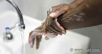 7 hand soaps that fight germs, from cheap to luxury     - CNET