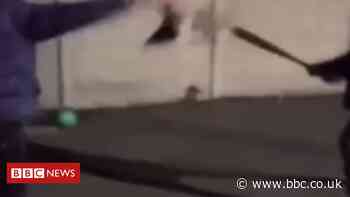 Snapchat video of duck beaten to death in York prompts appeal