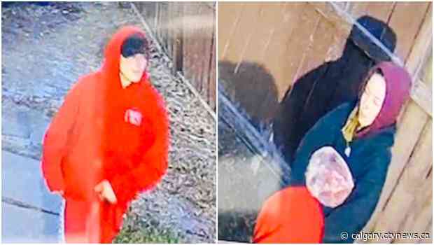 RCMP ask for help to identify Airdrie, Alta. theft suspects