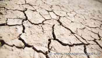 Risikomanagement: So vermeiden Sie Katastrophen