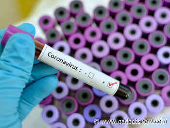 Scientists develop smartphone app to analyse coronavirus genome