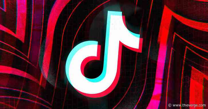 TikTok rolls out new in-app 2020 elections guide