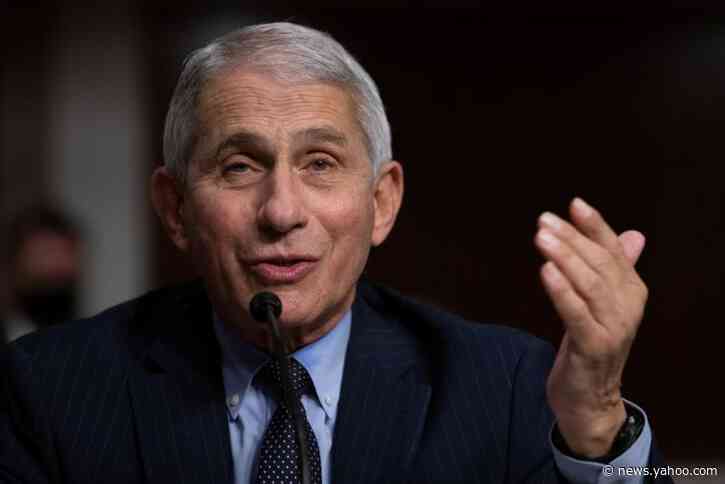 Fauci says he is worried coronavirus task force member is giving bad information to Trump: CNN