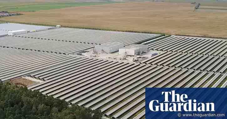 Film showing mink 'cannibalism' prompts probable ban on fur farms in Poland