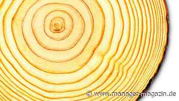 Der langfristig denkende Investor