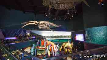 2 workers at Ripley's Aquarium test positive for COVID-19