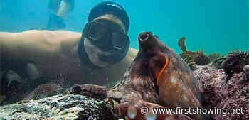 Must Watch Nature Documentary Film 'My Octopus Teacher' Trailer