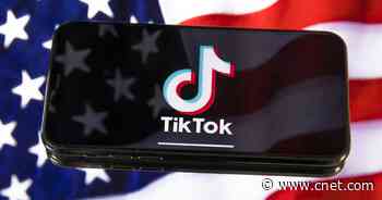 TikTok launches US elections guide to combat misinformation     - CNET